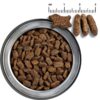 Belcando天然成犬鮮肉鴨肉糧 2.2kg - Image 2