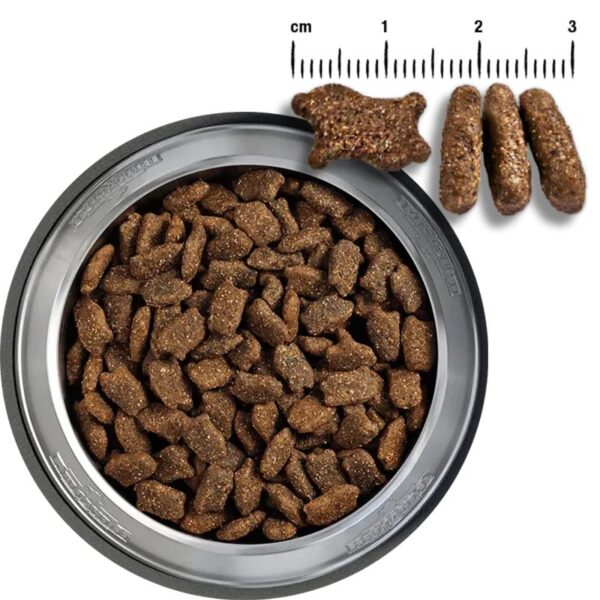 Belcando天然成犬鮮肉鴨肉糧 500g - Image 2